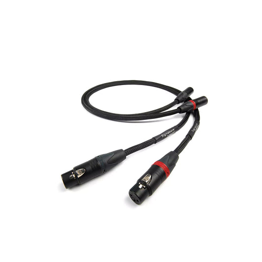 Chord Company Signature Tuned Aray XLR