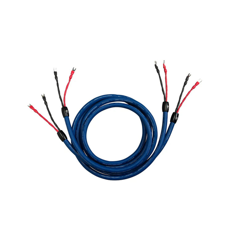 Cardas Audio Clear Cygnus Speaker