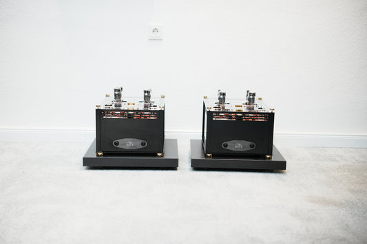 Audio Valve Baldur 70 _ Röhren Mono Endstufen