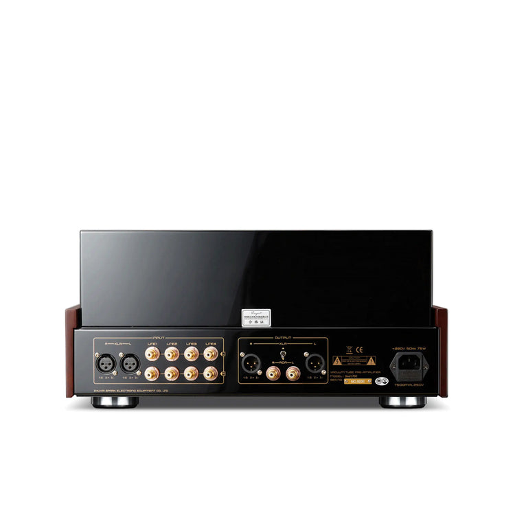 Cayin Soul 170C