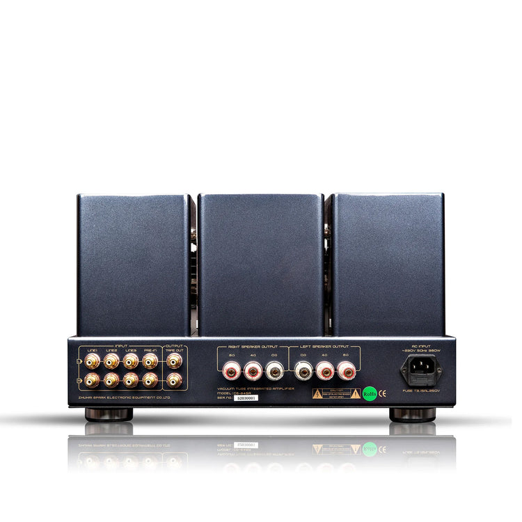 Cayin CS-845A Reference