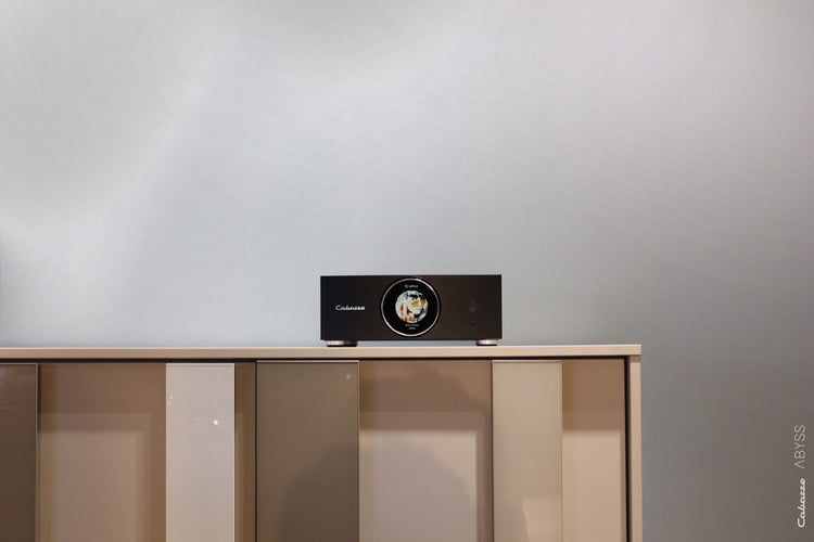 Cabasse AMP 240S (Abyss)