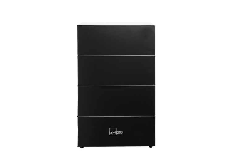 Lyngdorf BW 20