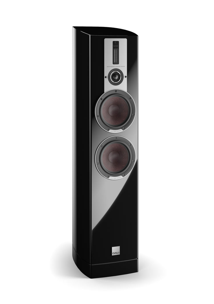 Dali Epicon 6 (Stück)