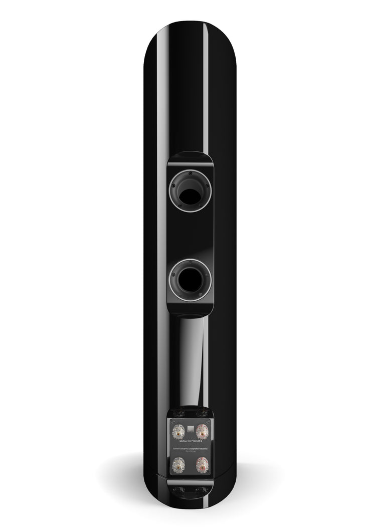 Dali Epicon 6 (Stück)