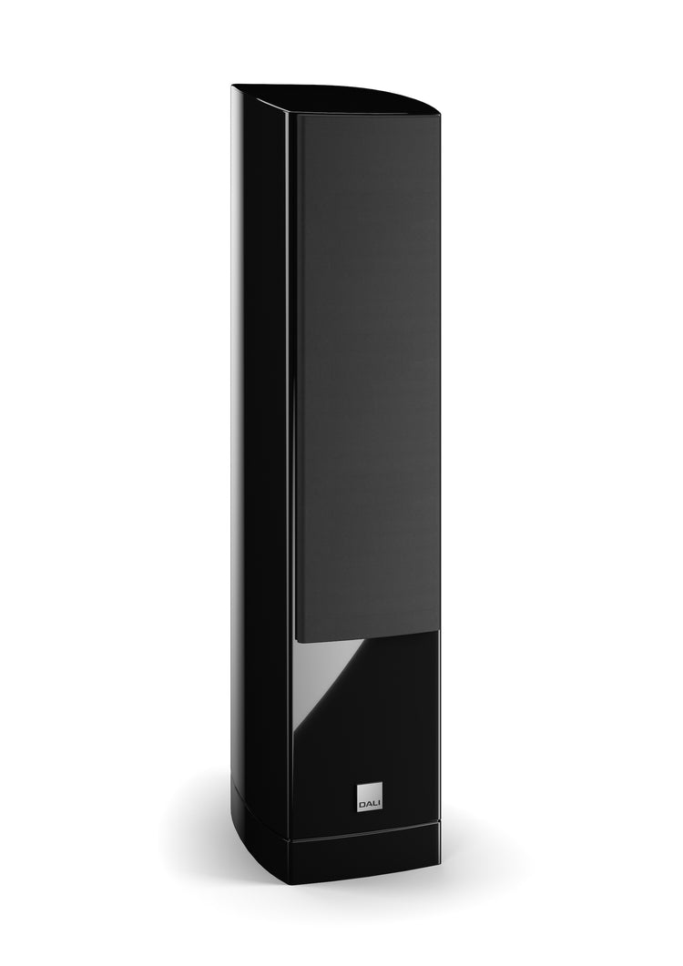 Dali Epicon 6 (Stück)