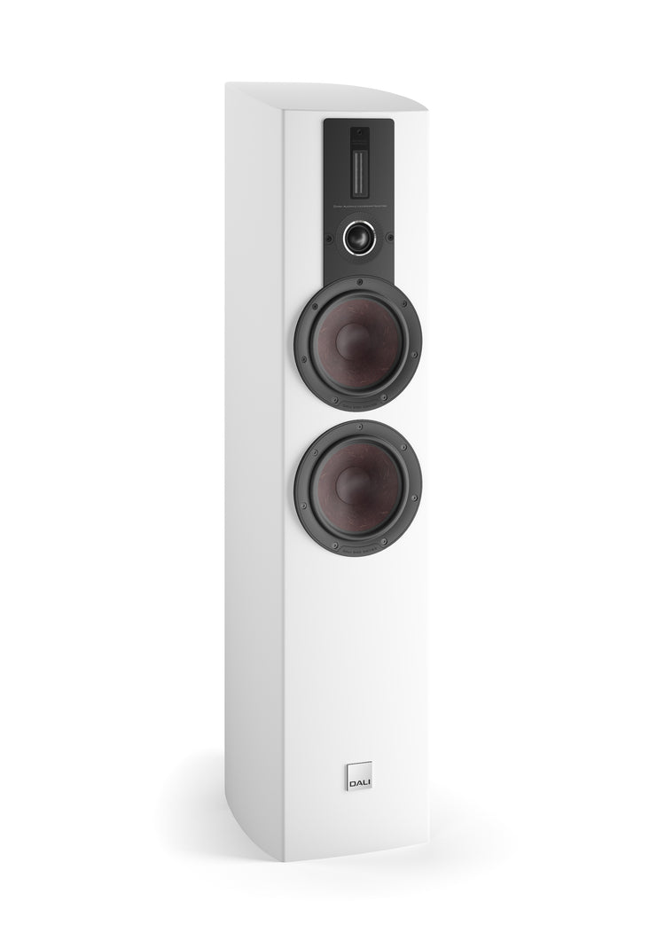 Dali Epicon 6 (Stück)