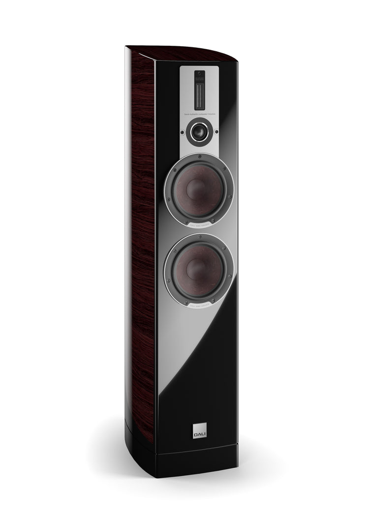 Dali Epicon 6 (Stück)