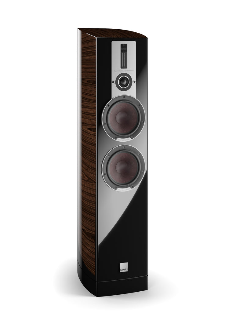 Dali Epicon 6 (Stück)