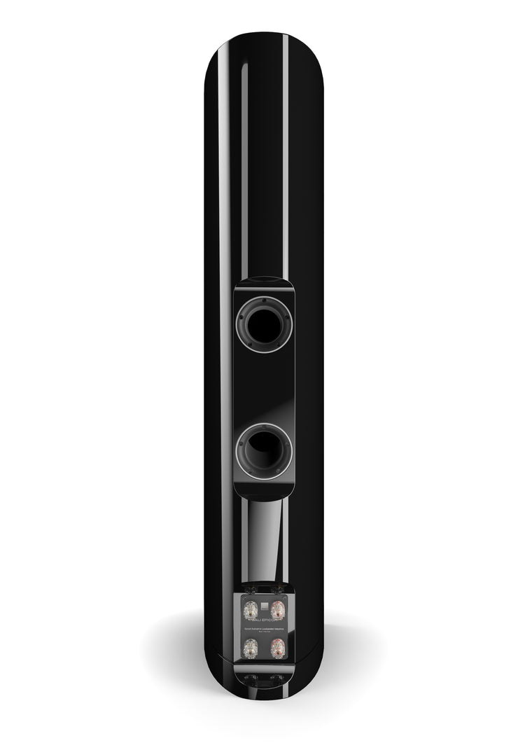Dali Epicon 8 (Stück)