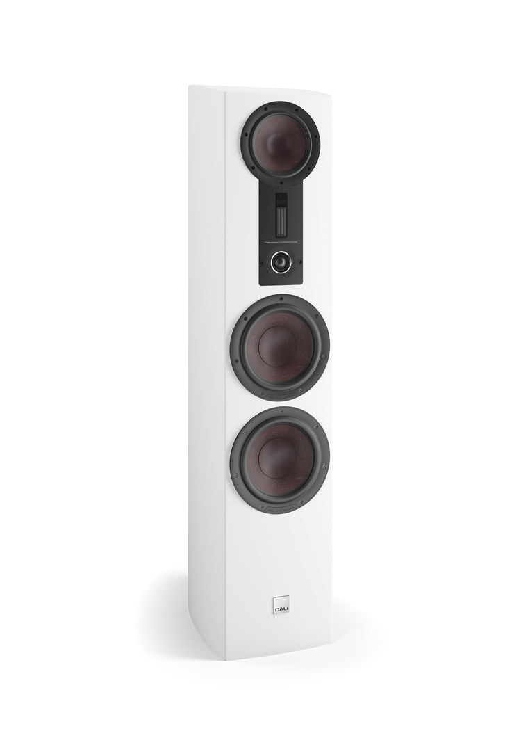 Dali Epicon 8 (Stück)