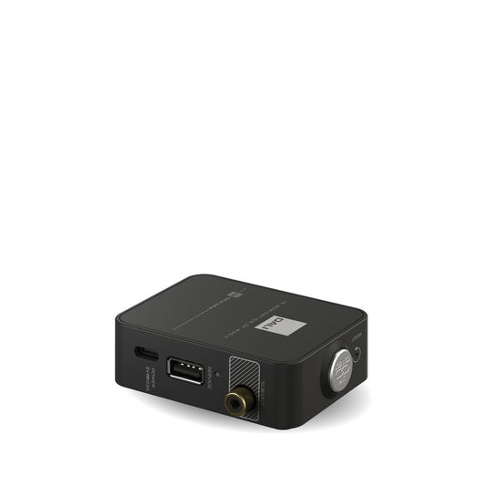 Dali WSR (Wireless Subwoofer Receiver)