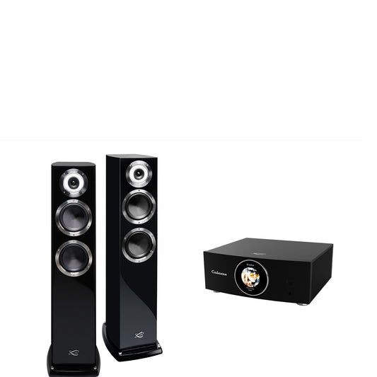 Cabasse AMP 240S (Abyss) & Murano Alto