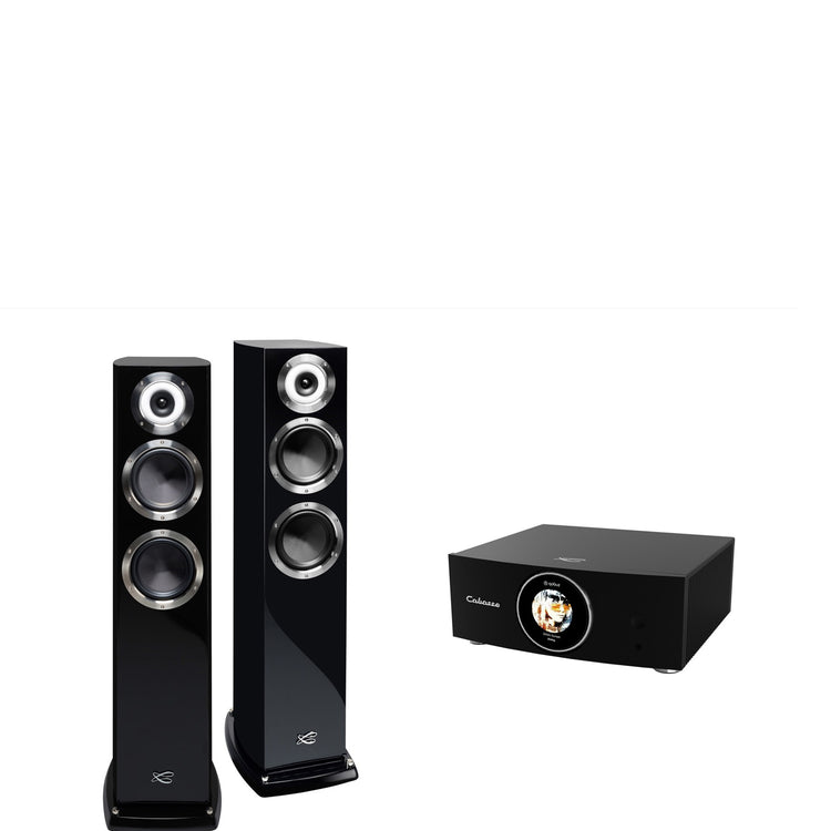 Cabasse AMP 240S (Abyss) & Murano Alto