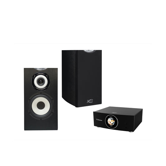 Cabasse AMP 240S (Abyss) & Minorca MC40