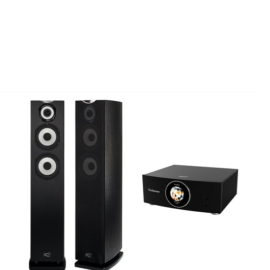 Cabasse AMP 240S (Abyss) & Java MC40