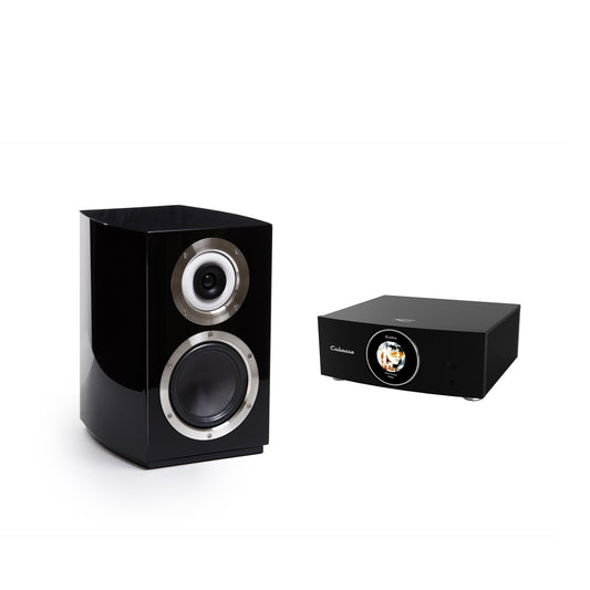 Cabasse AMP 240S (Abyss) & Murano