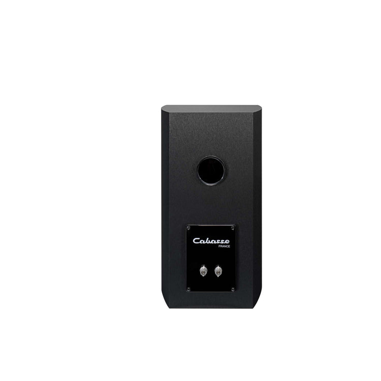 Cabasse Antigua MC170