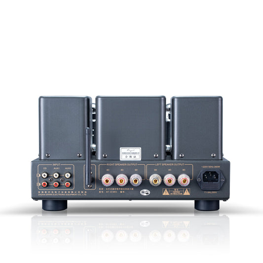 Cayin MT-35MK3 Bluetooth