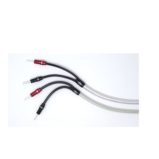 Chord Company ClearwayX 4DIN/2RCA