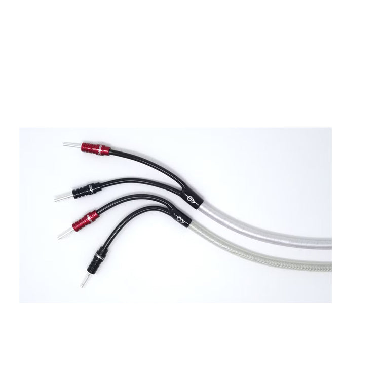 Chord Company ClearwayX Speaker Cable ban-ban Pair