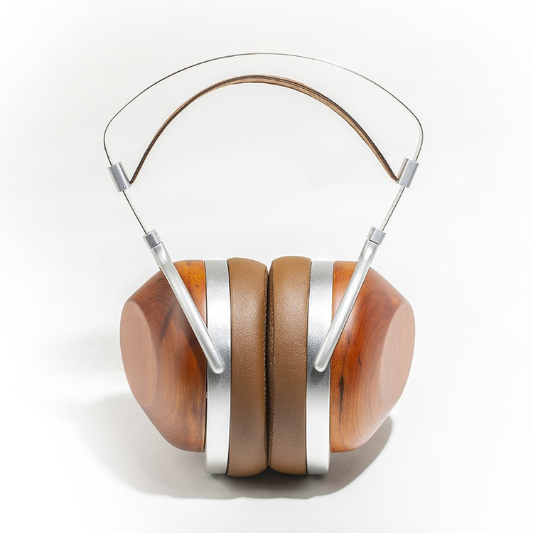 HIFIMAN HE-R 10 P