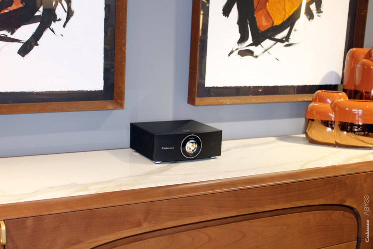 Cabasse AMP 240S (Abyss)
