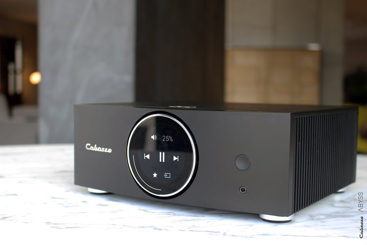 Cabasse AMP 240S (Abyss)