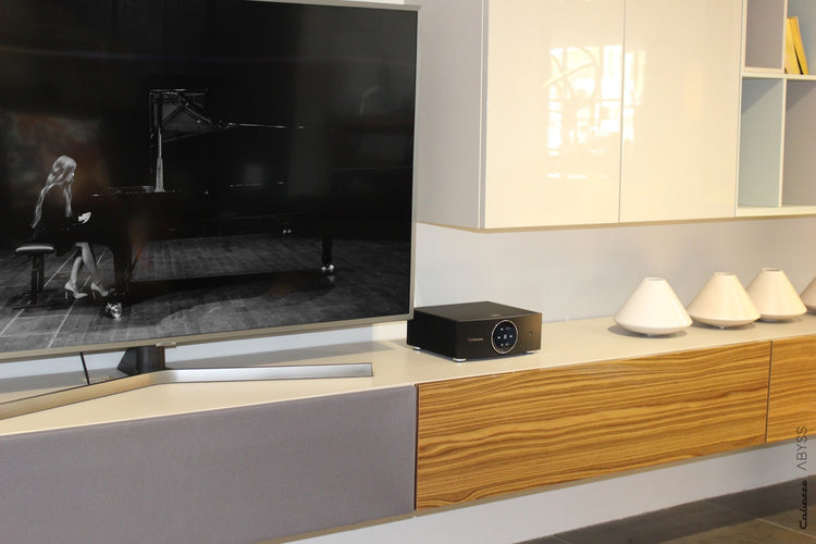 Cabasse AMP 240S (Abyss)