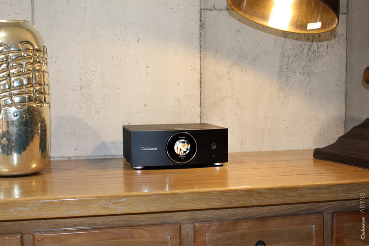 Cabasse AMP 240S (Abyss)