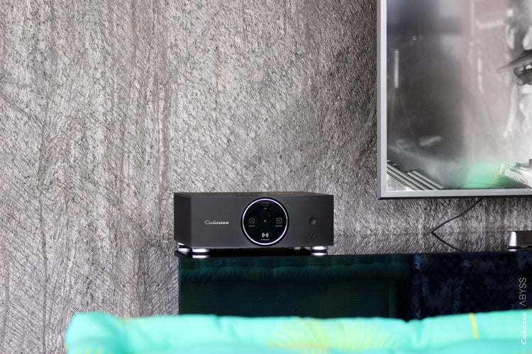 Cabasse AMP 240S (Abyss)