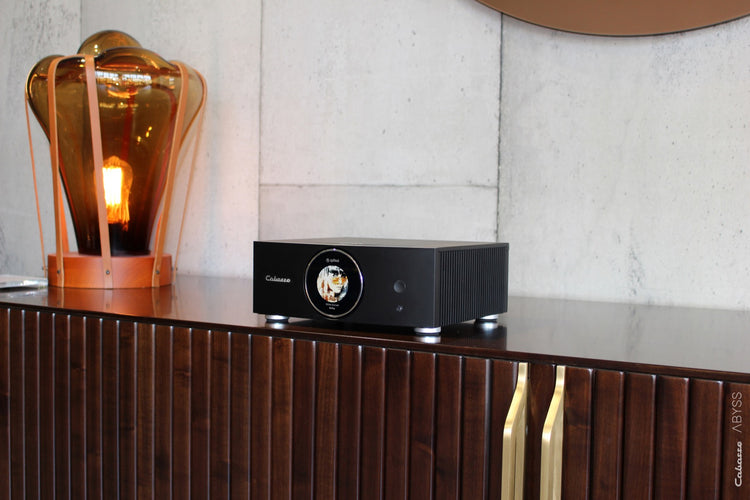 Cabasse AMP 240S (Abyss)