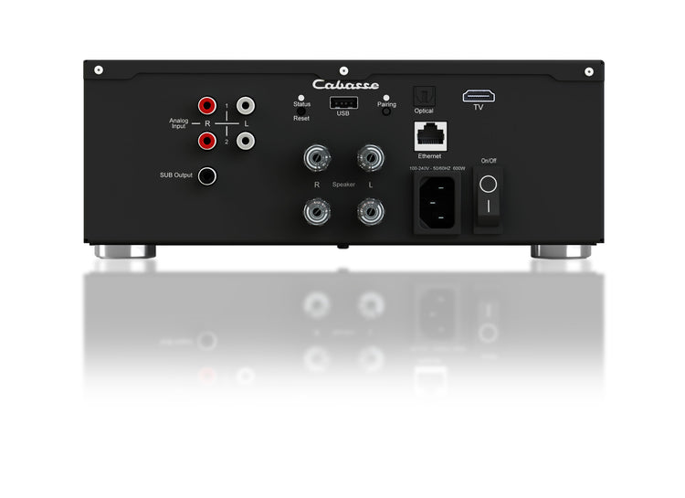 Cabasse AMP 240S (Abyss) & Murano
