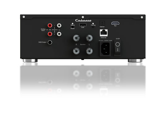 Cabasse AMP 240S (Abyss)
