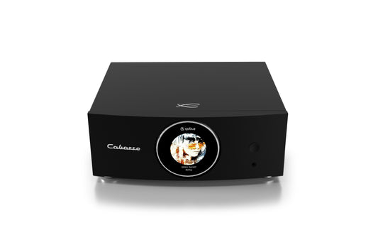 Cabasse AMP 240S (Abyss)