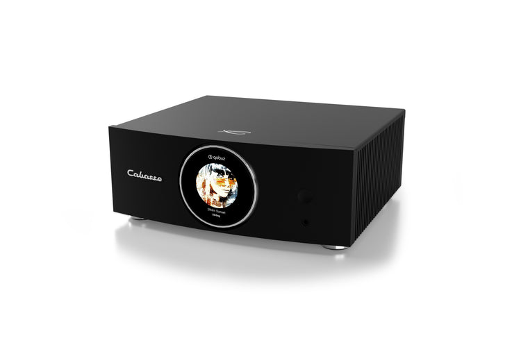 Cabasse AMP 240S (Abyss)