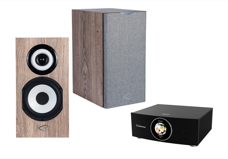 Cabasse AMP 240S (Abyss) & Minorca MC40
