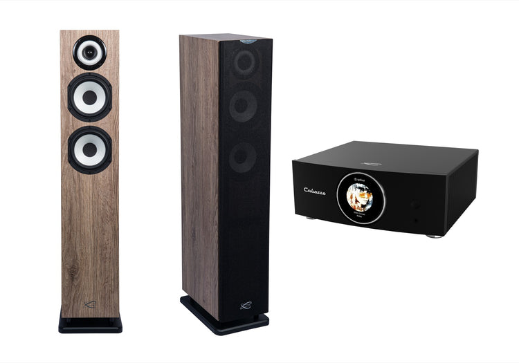 Cabasse AMP 240S (Abyss) & Java MC40