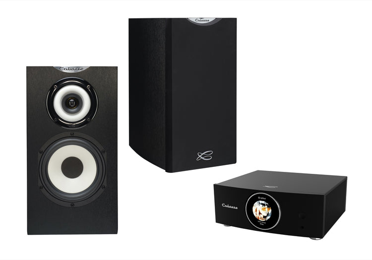 Cabasse AMP 240S (Abyss) & Minorca MC40