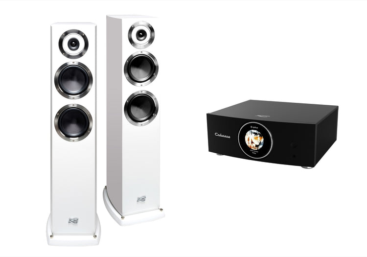 Cabasse AMP 240S (Abyss) & Murano Alto