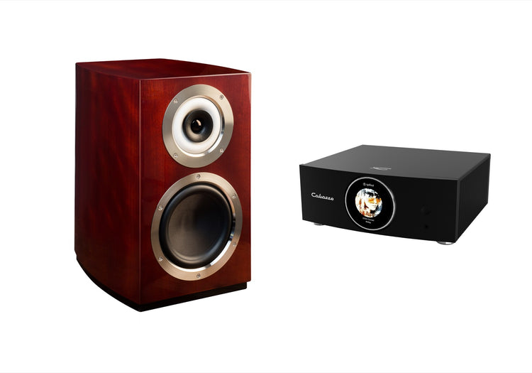Cabasse AMP 240S (Abyss) & Murano