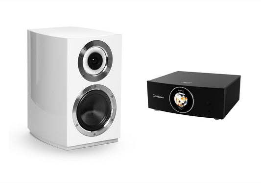 Cabasse AMP 240S (Abyss) & Murano