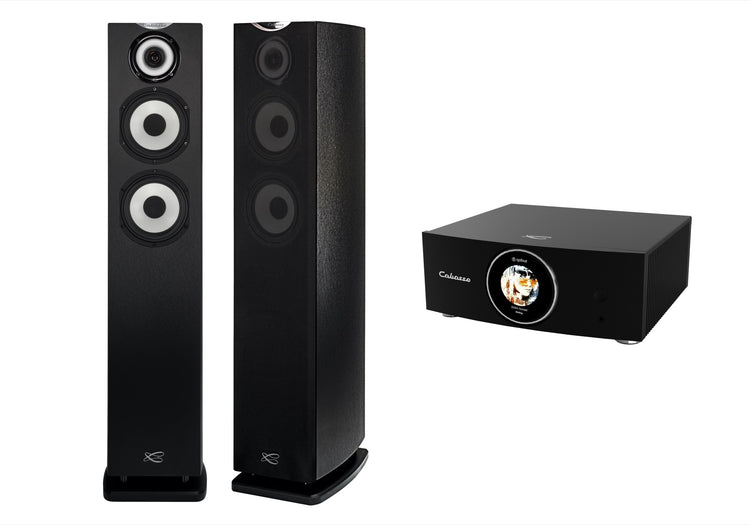 Cabasse AMP 240S (Abyss) & Java MC40