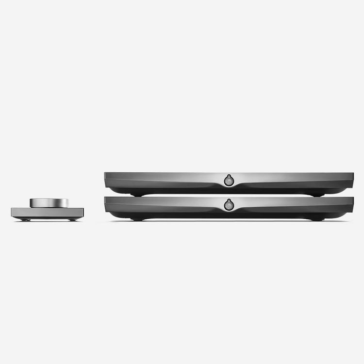 Devialet Expert 210 Pro Dual